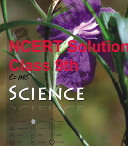 NCERT Solution Class 9th Science Chapter 2