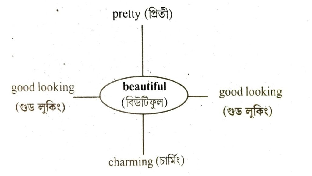 Let's learn a few words. Read the words which have the same meaning as 'beautiful'