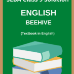 Class 9 English Question Answer