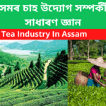 অসমৰ চাহ উদ্যোগ সম্পৰ্কীয় সাধাৰণ জ্ঞান - Tea Industry In Assam