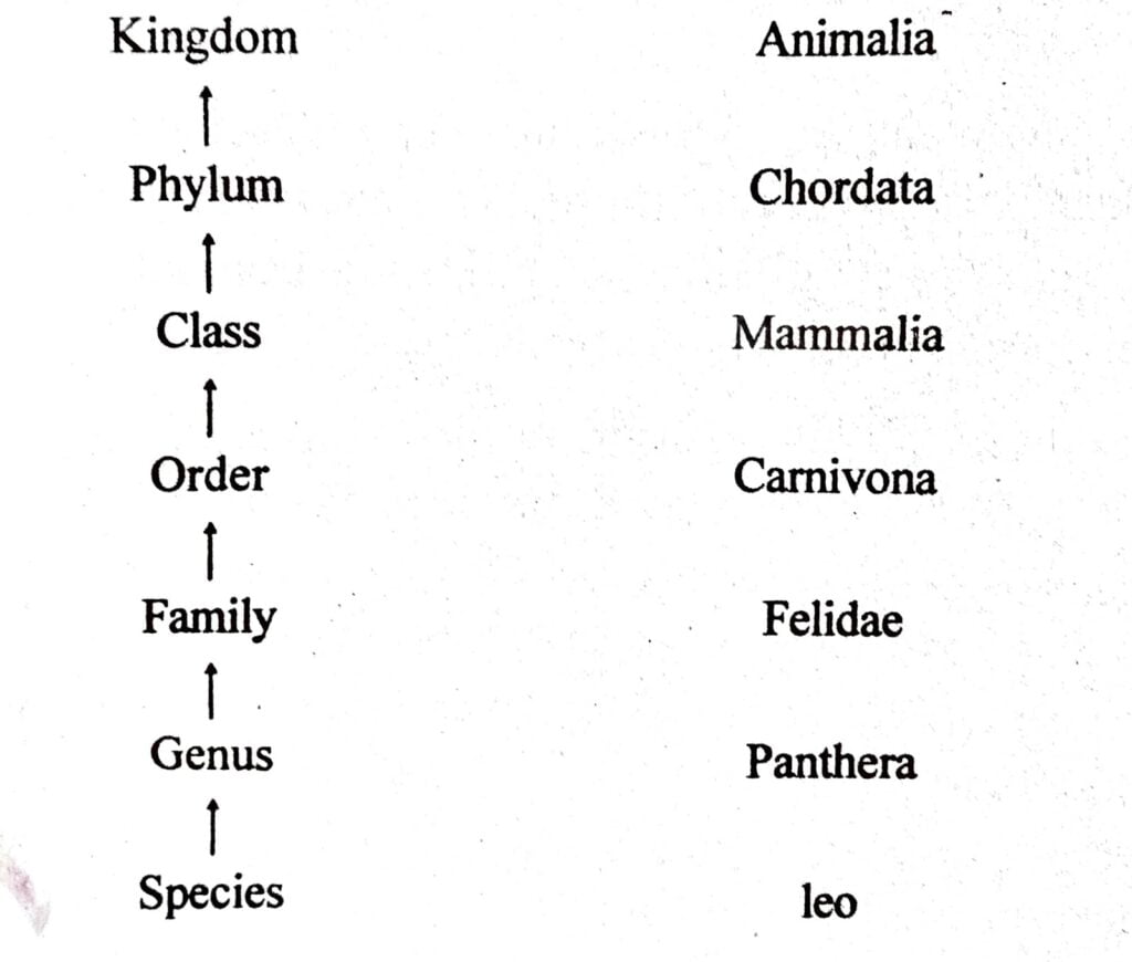 Q 7 Class 11 Biology Chapter 1 The Living World