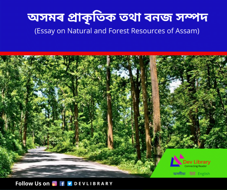 natural resources of assam essay