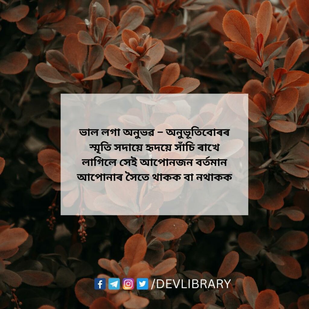 Assamese Emotional Quotes image