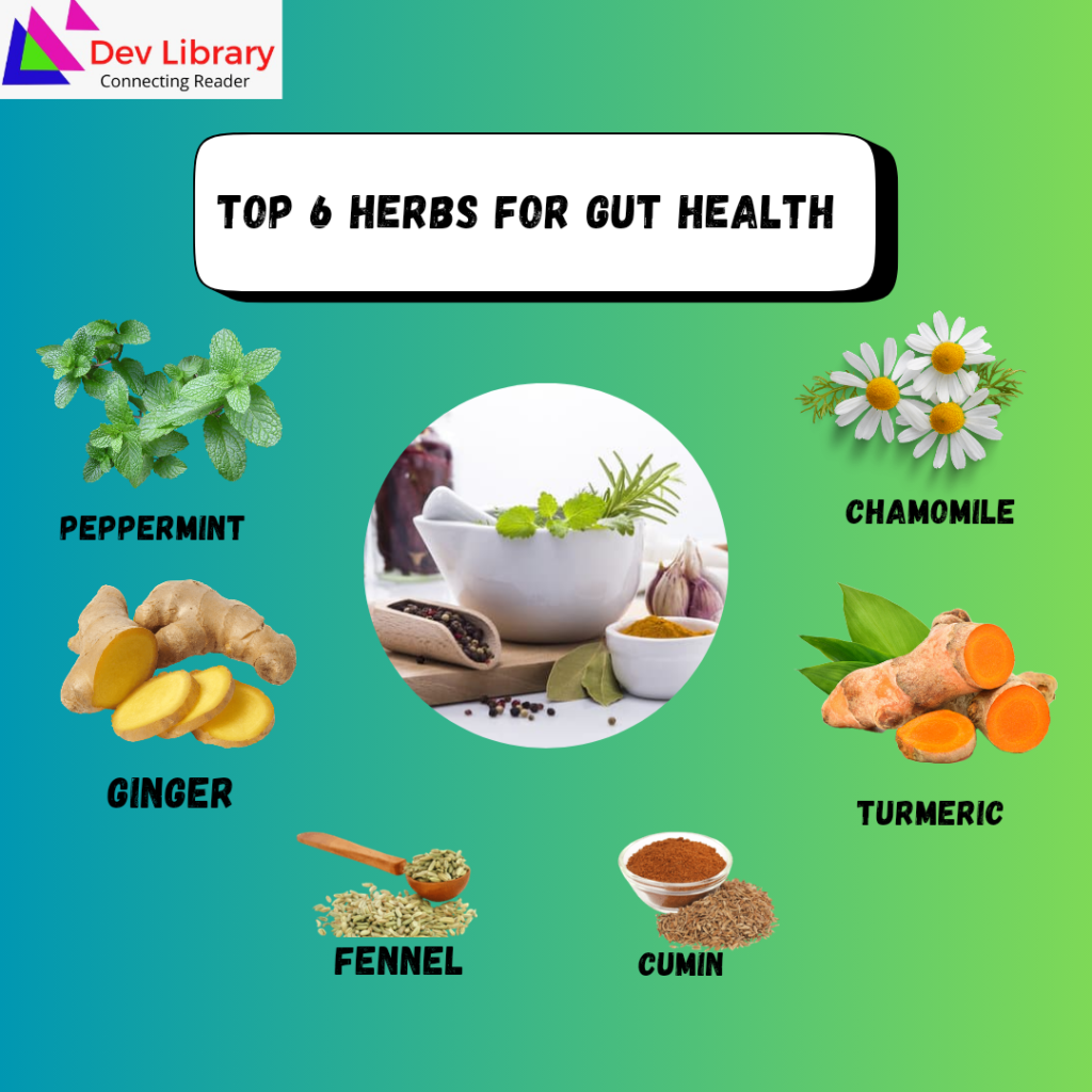 Gut Health: Top 6 Herbs for Optimal Digestion - Dev Library