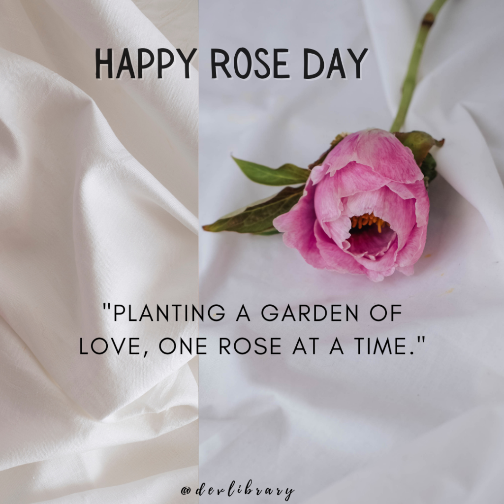 Planting a garden of love, one rose at a time. Happy Rose Day