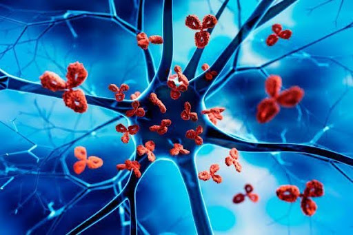 Treatment of Autoimmune Diseases